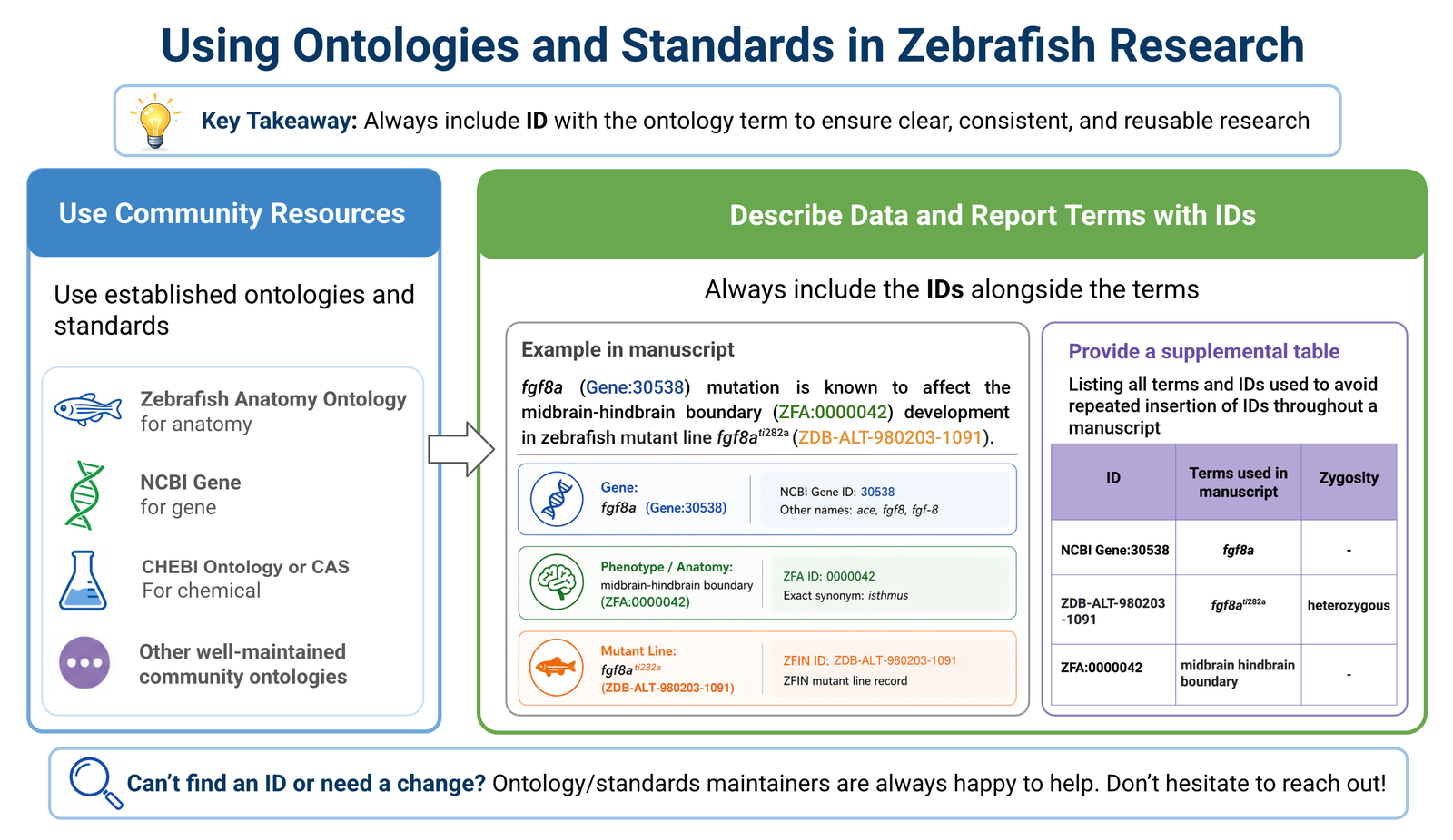 Using Ontologies and Standards in Zebrafish Research